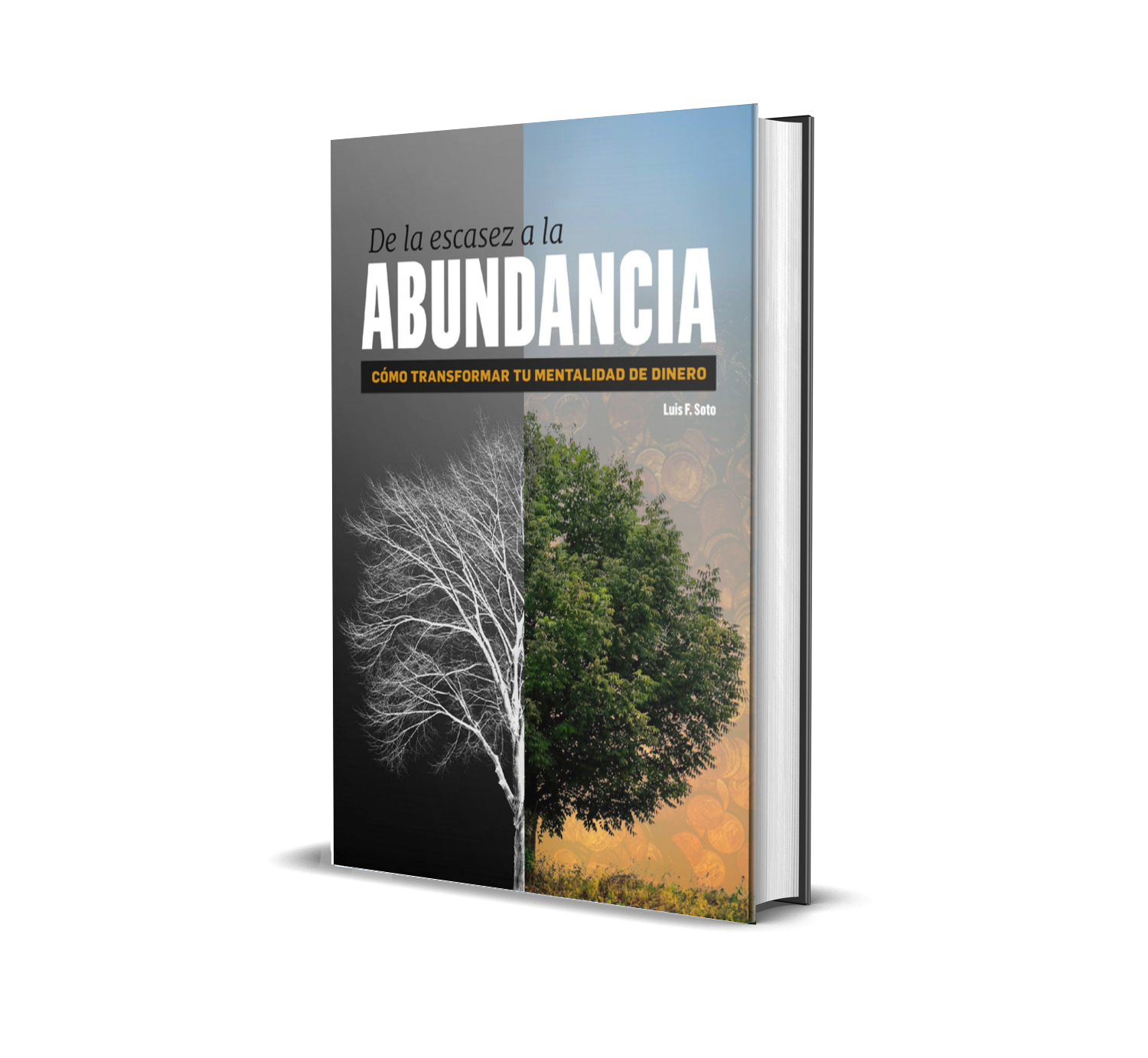 Ebook LM Mentalidad